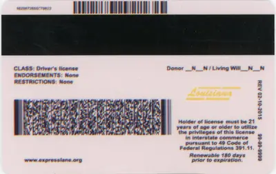 Louisiana - Image 2